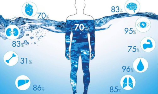 수분과 질병 예방